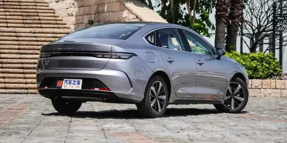 byd king
