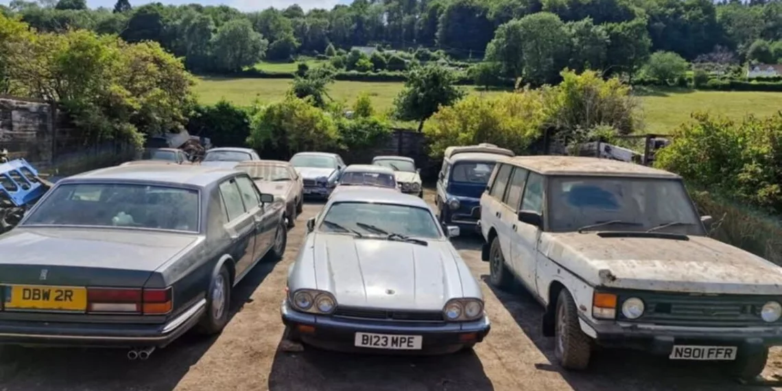 Divulgação/Tewkesbury Auction Centre