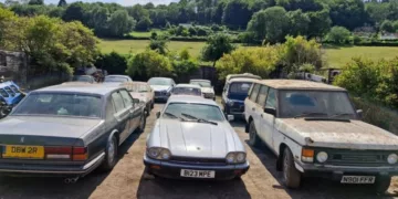 Divulgação/Tewkesbury Auction Centre